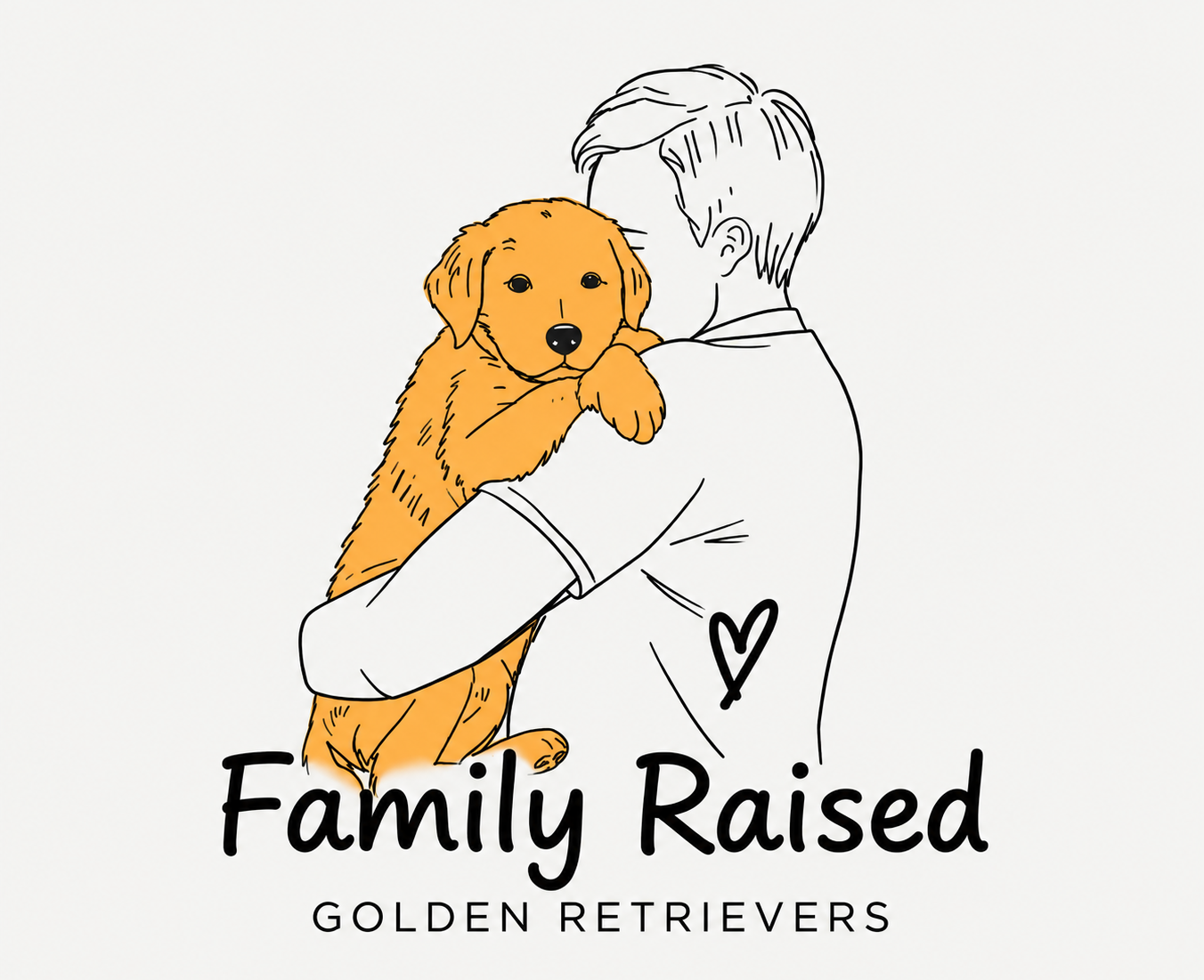Family Raised Golden Retriever